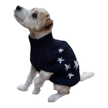 Load image into Gallery viewer, All Star Dog Sweater