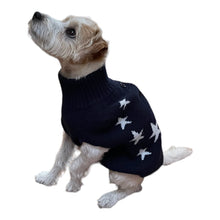 Load image into Gallery viewer, All Star Dog Sweater
