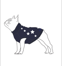 Load image into Gallery viewer, All Star Dog Sweater
