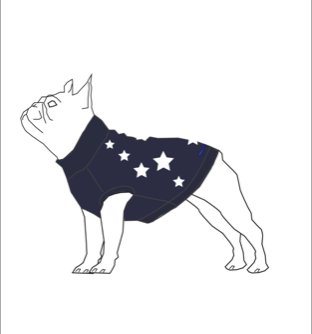 All Star Dog Sweater